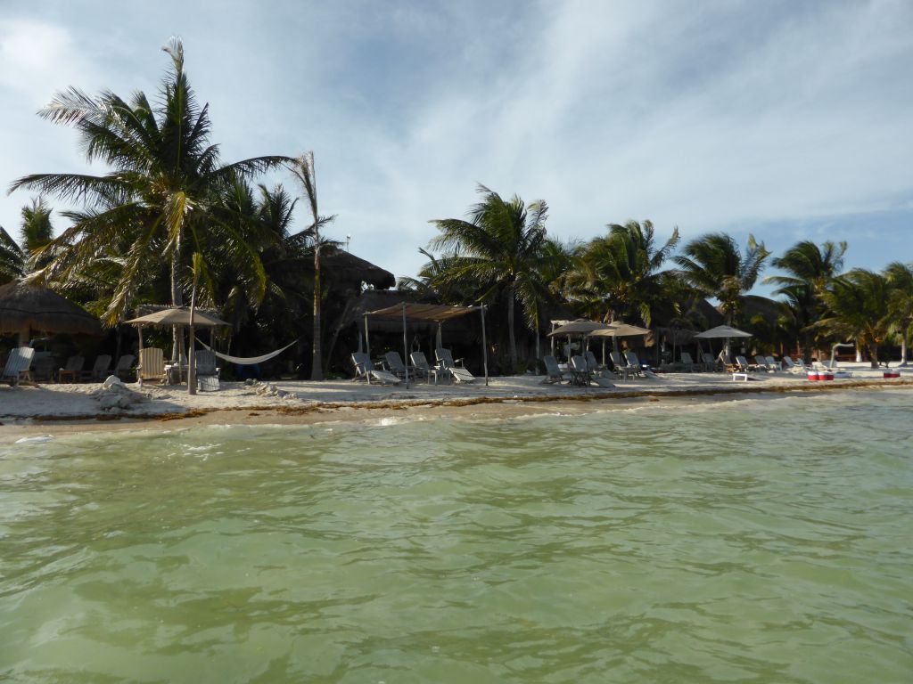 KreuzfahrtAusflug auf eigene Faust zu Maya Chan in Costa Maya meat meets me