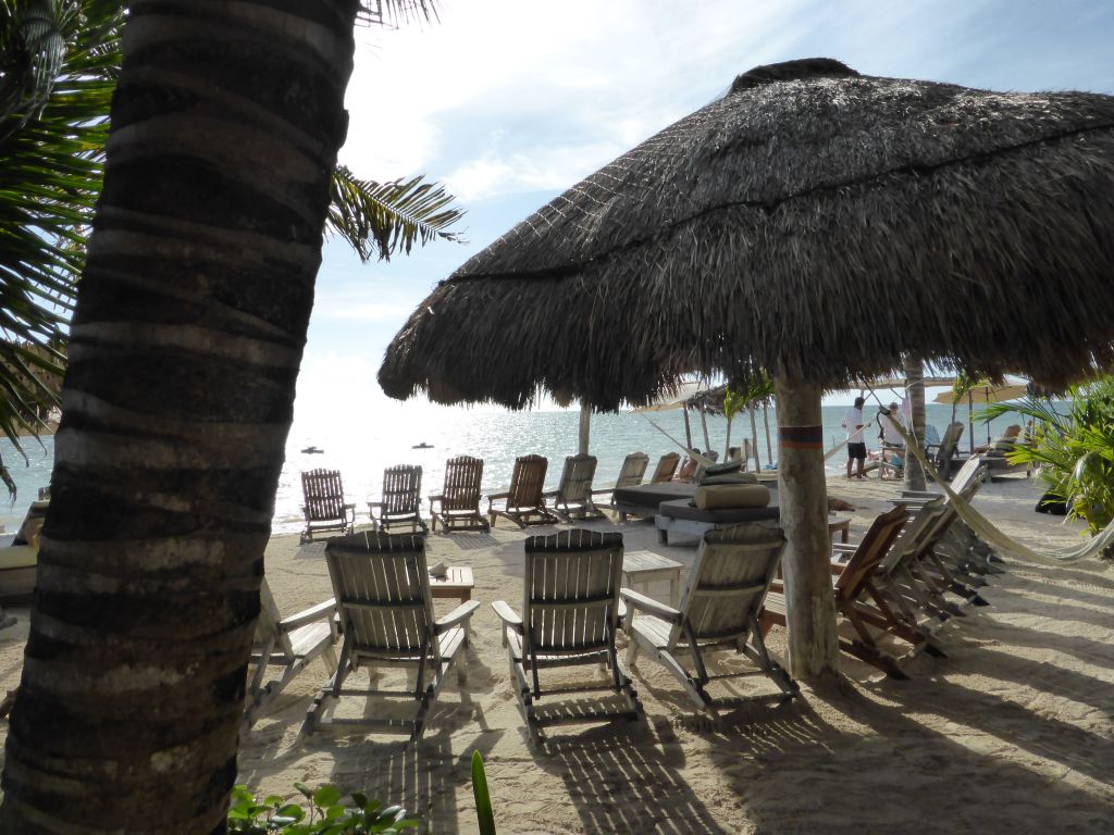 KreuzfahrtAusflug auf eigene Faust zu Maya Chan in Costa Maya meat meets me
