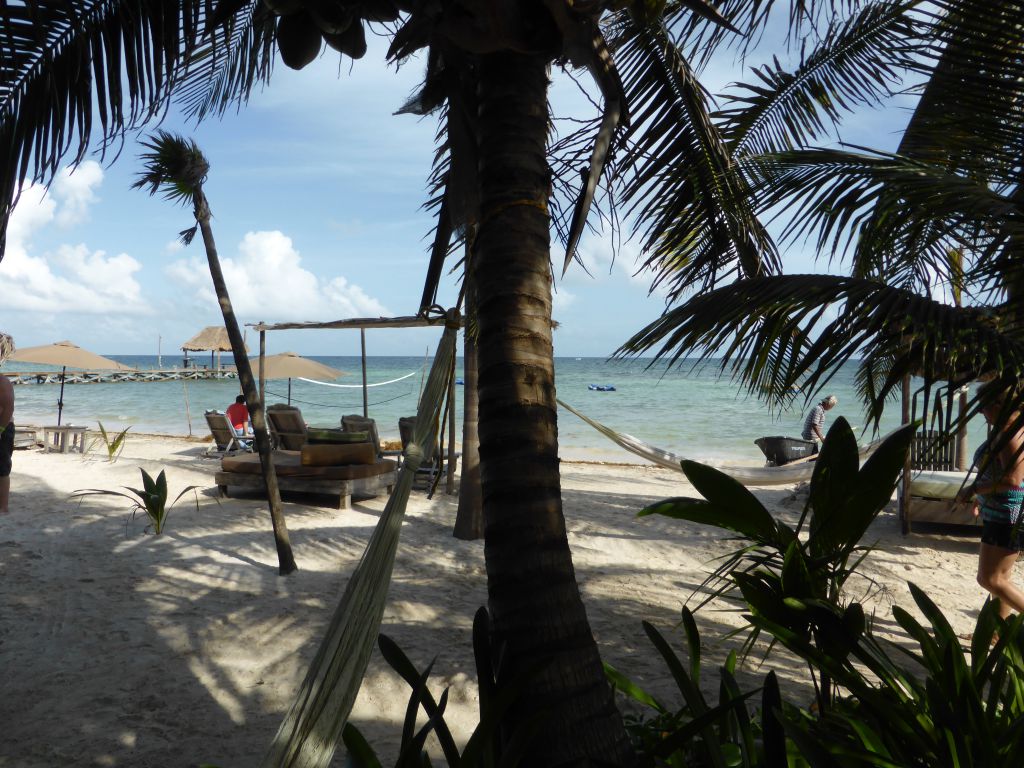 KreuzfahrtAusflug auf eigene Faust zu Maya Chan in Costa Maya meat meets me